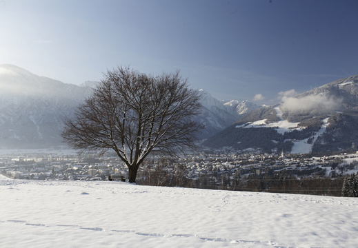 Serie Lienz: Alleinstehender Baum im Schnee oberhalb der Stadt Lienz 