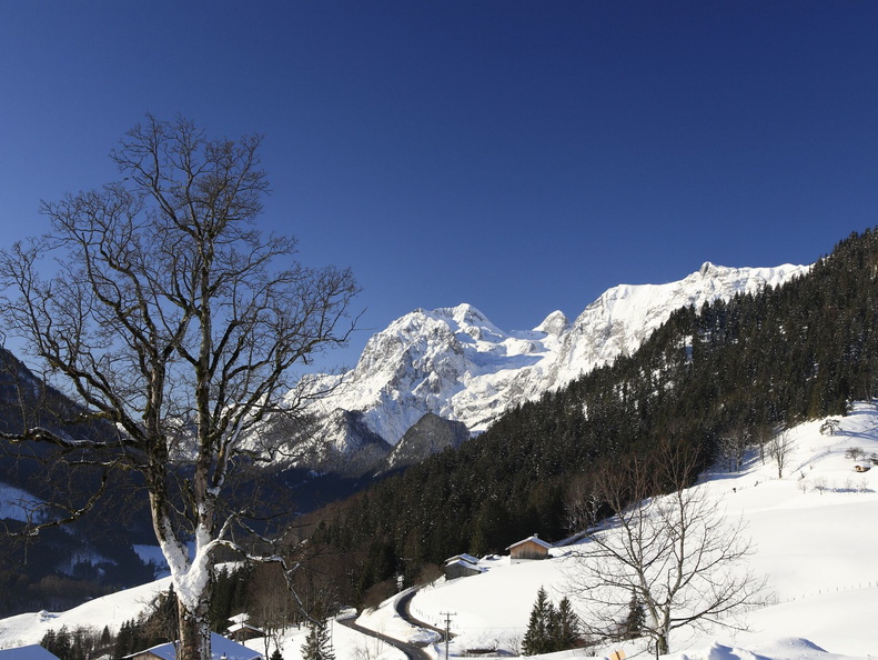 Serie Berchtesgadener Land: Hochschwarzeck mit Blick auf die Reiteralm - 1 
