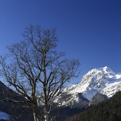 Serie Berchtesgadener Land: Hochschwarzeck mit Blick auf die Reiteralm - 2 
