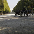 Schloss Schönbrunn am Ende der Tiergartenallee 